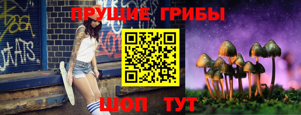 Галлюциногенные грибы Psilocybine cubensis Александров