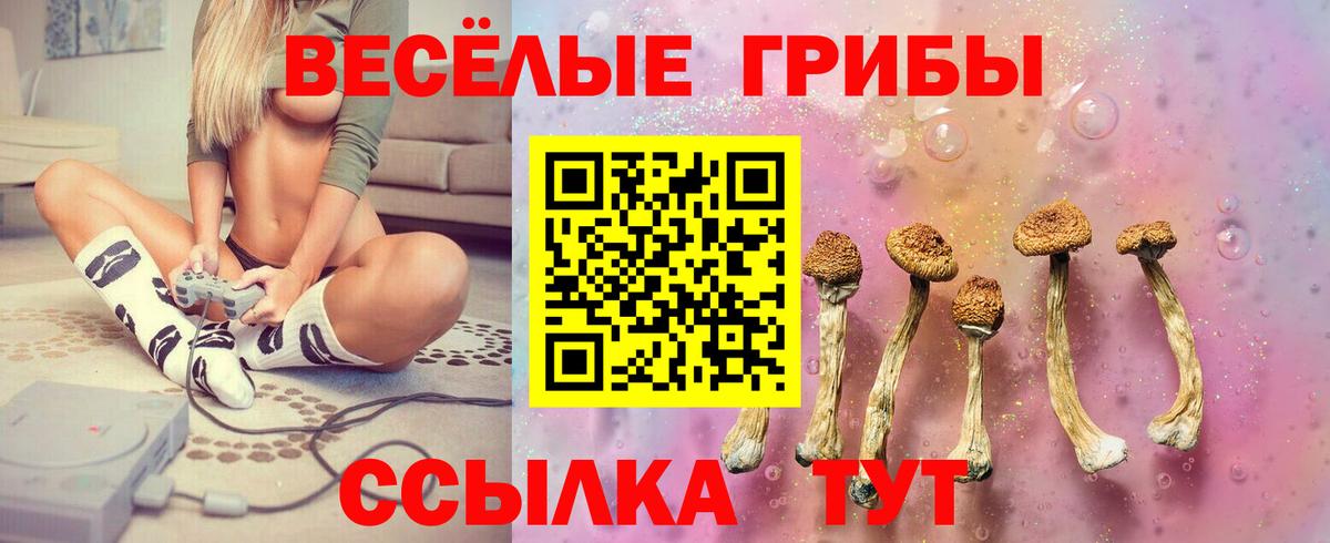 Александров  Галлюциногенные грибы Psilocybe  Вход с VPN  где купить наркотик  Галлюциногенные грибы ЛСД 
